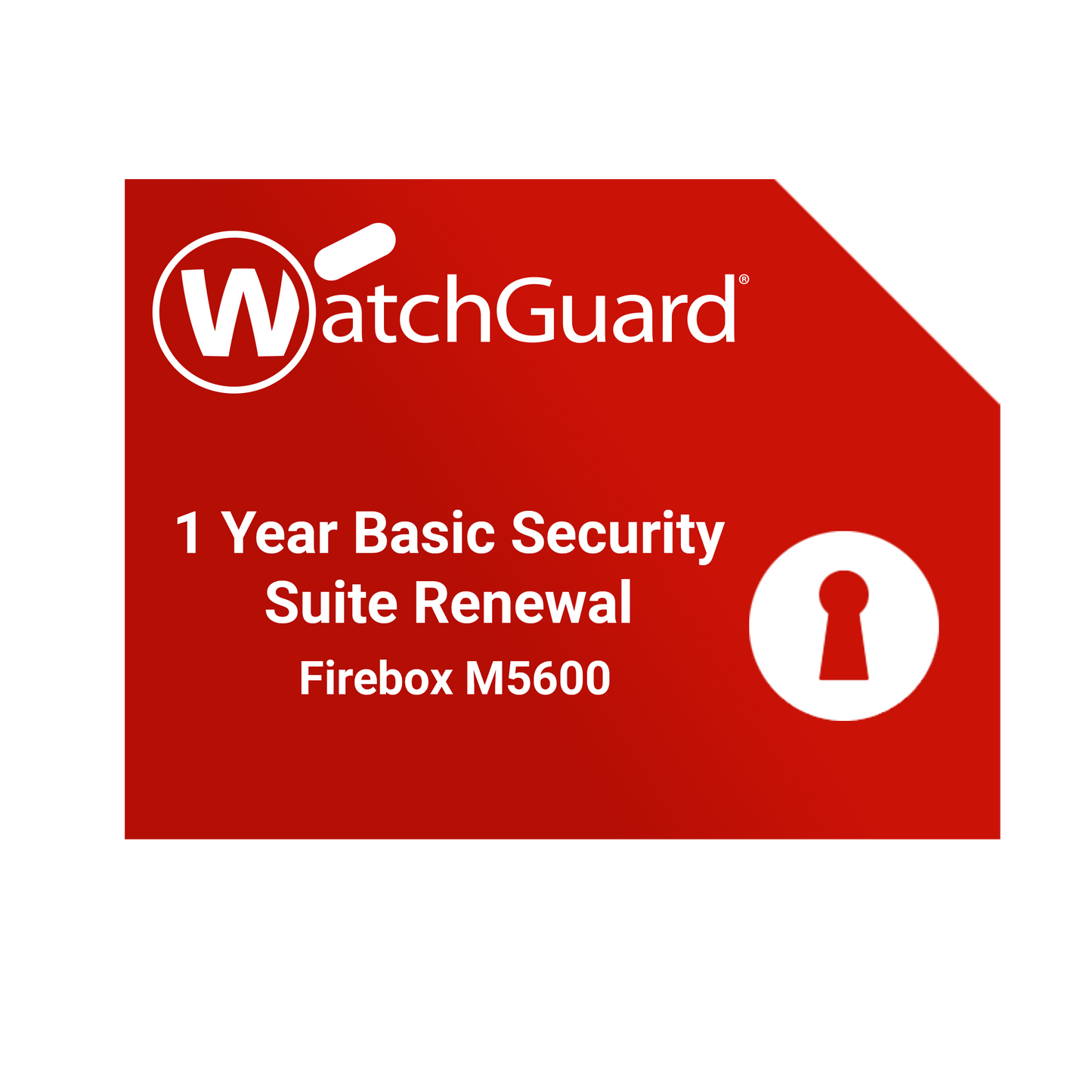 M5600 RENEWAL