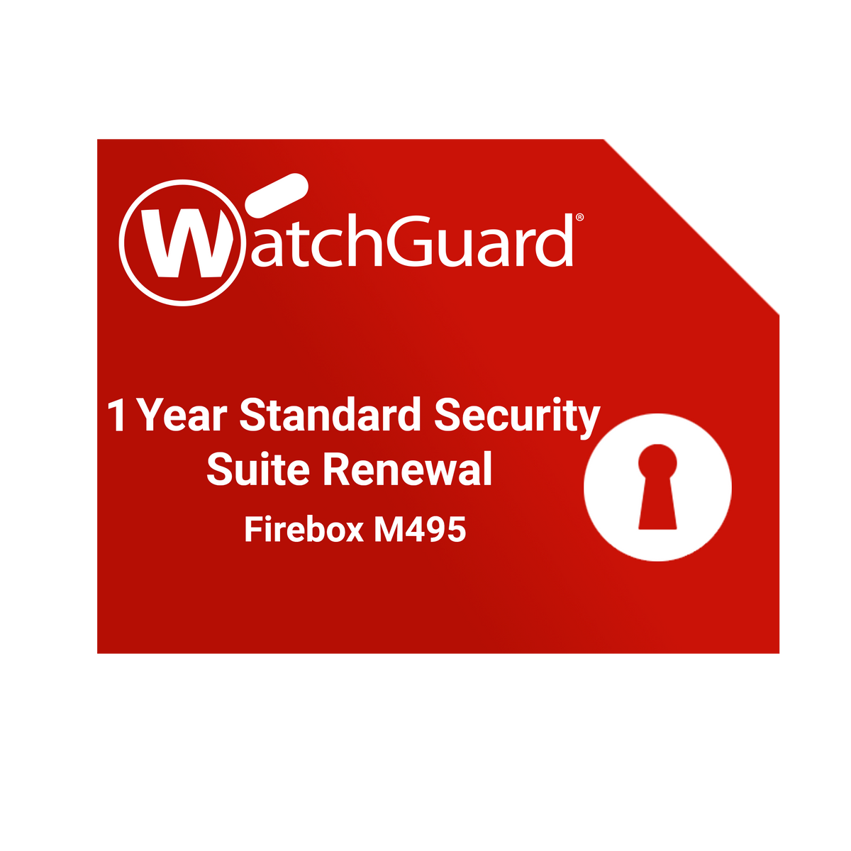WatchGuard Firebox M495 Renewal