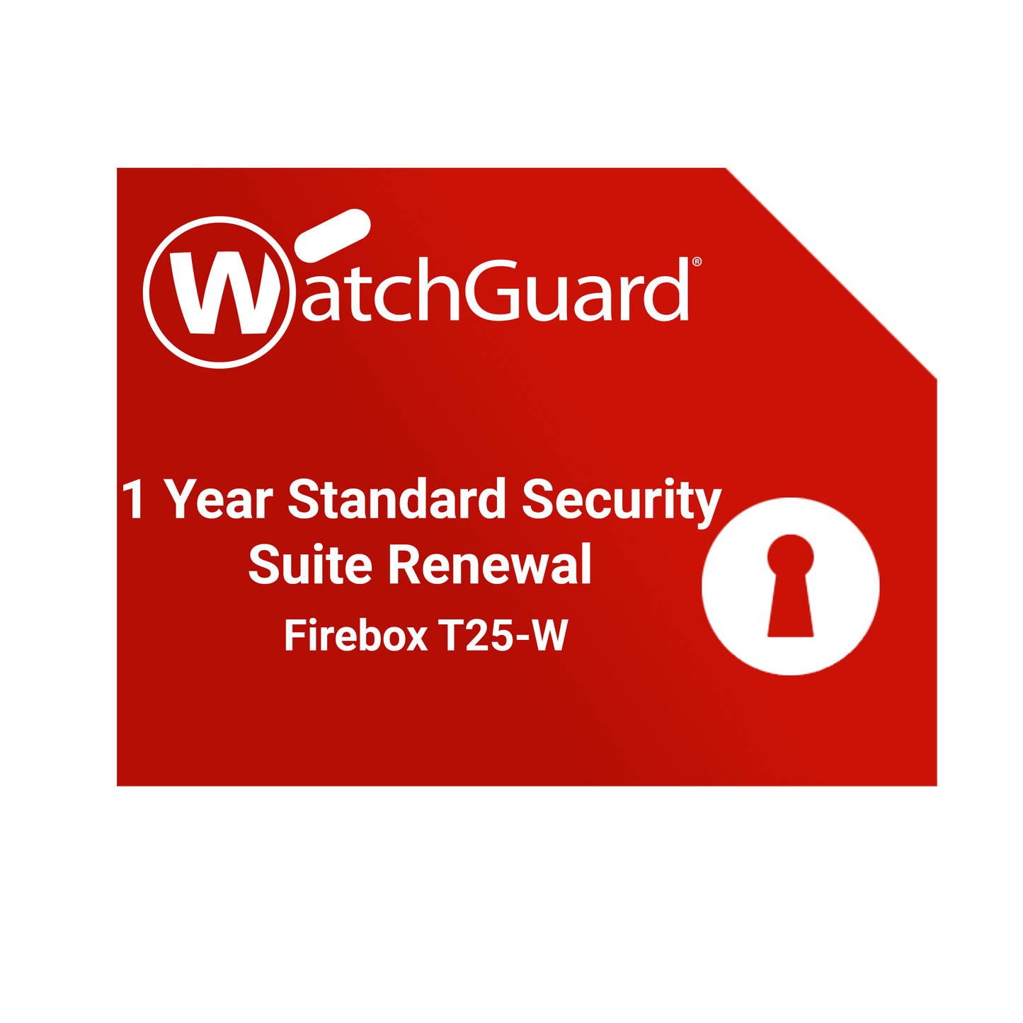 WatchGuard Firebox T25-W Renewal