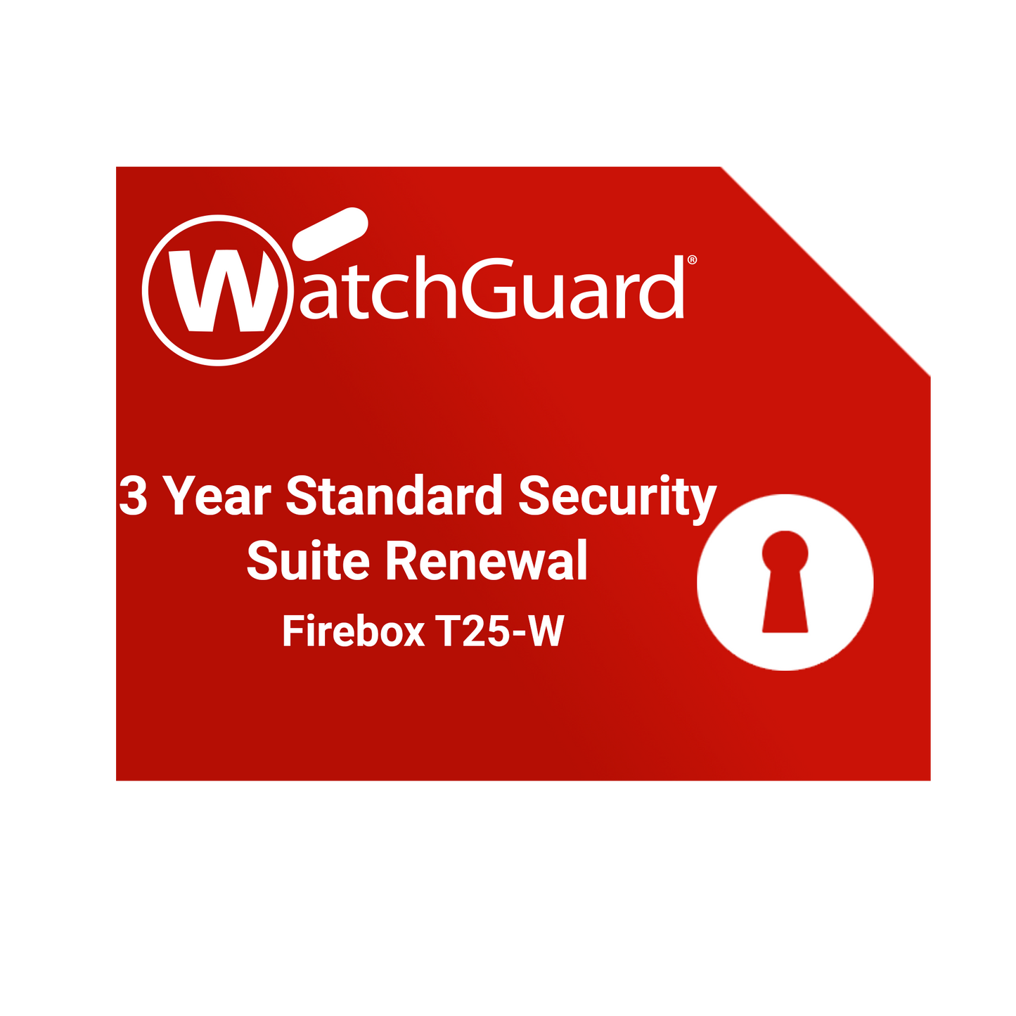 WatchGuard Firebox T25-W Renewal