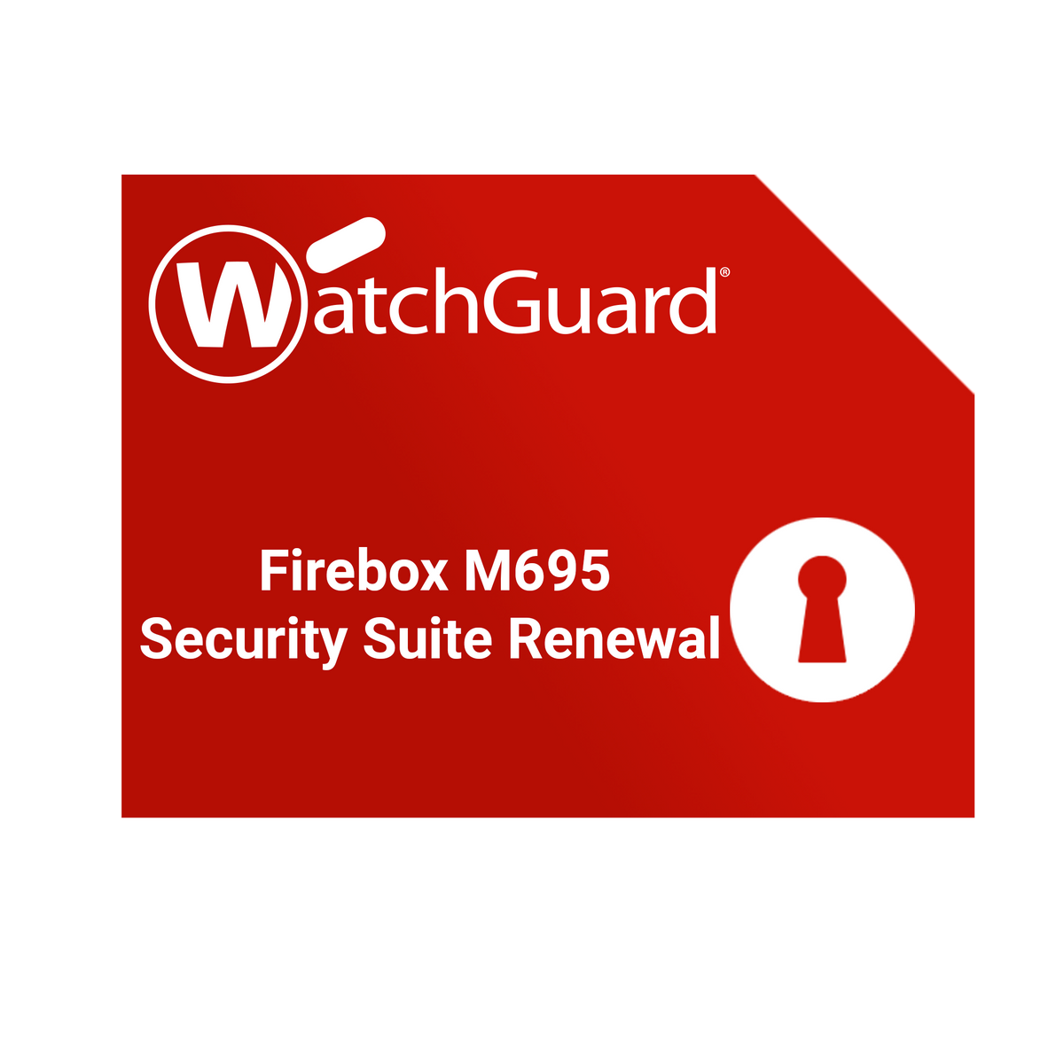 WatchGuard Firebox M695 Renewal